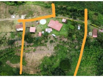 FINCA EN VENTA - FILANDIA