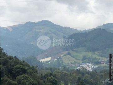 Arriendo Apartamento Sector Expoferias , Manizales