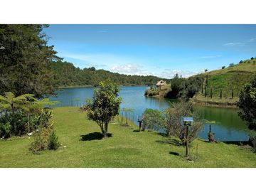 8597052 Venta Finca Guatapé Peñol Antioquia