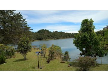 8597052 Venta Finca Guatapé Peñol Antioquia