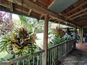 8597052 Venta Finca Guatapé Peñol Antioquia