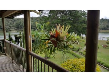 8597052 Venta Finca Guatapé Peñol Antioquia