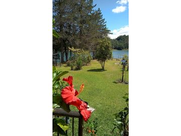 8597052 Venta Finca Guatapé Peñol Antioquia
