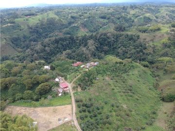 Finca en venta Filandia Quindio 18 Hectareas