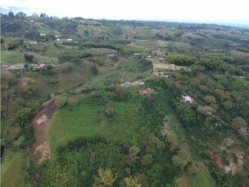 Finca en venta Filandia Quindio 18 Hectareas