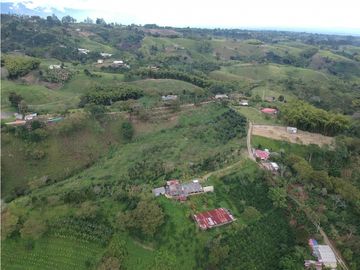 Finca en venta Filandia Quindio 18 Hectareas