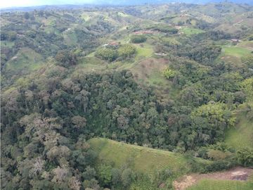 Finca en venta Filandia Quindio 18 Hectareas