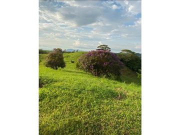 FINCA