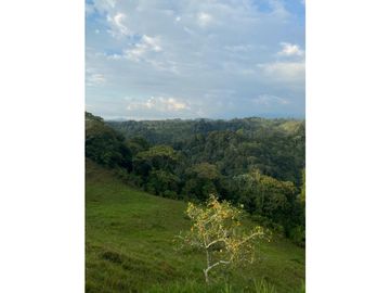 FINCA