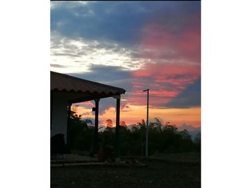 FINCA