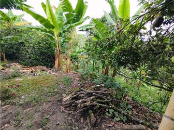 Se Vende Finca Hotel En Pueblo Tapao Montenegro