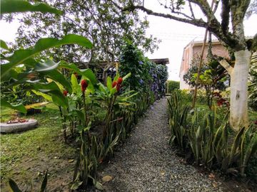 Se Vende Finca Hotel En Pueblo Tapao Montenegro