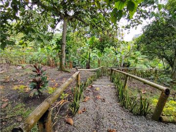 Se Vende Finca Hotel En Pueblo Tapao Montenegro