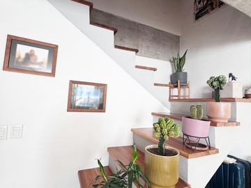 VENTA | Departamento en la Colonia Roma Norte, Zacatecas