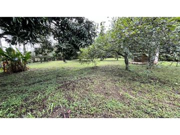 VENTA DE FINCA PEQUEÑA EN QUIMBAYA, QUINDO, COLOMBIA