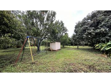 VENTA DE FINCA PEQUEÑA EN QUIMBAYA, QUINDO, COLOMBIA