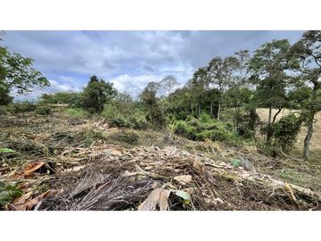 VENTA DE FINCA PEQUEÑA EN QUIMBAYA, QUINDO, COLOMBIA