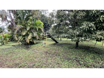 VENTA DE FINCA PEQUEÑA EN QUIMBAYA, QUINDO, COLOMBIA