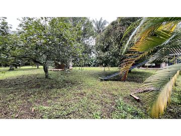 VENTA DE FINCA PEQUEÑA EN QUIMBAYA, QUINDO, COLOMBIA