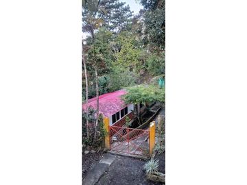 Se Vende Finca Cafetera Cañon DelRio Quindio La Bella