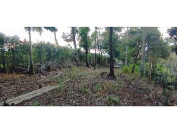 Se Vende Finca Cafetera Cañon DelRio Quindio La Bella