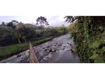 Se Vende Finca Cafetera Cañon DelRio Quindio La Bella