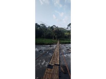 Se Vende Finca Cafetera Cañon DelRio Quindio La Bella