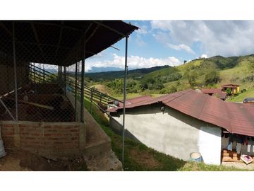 Finca ganadera lechera en Cachimbal- Vijes - Valle del Cauca