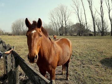 VENTA CASA A ESTRENAR. HARAS EL MALACATE