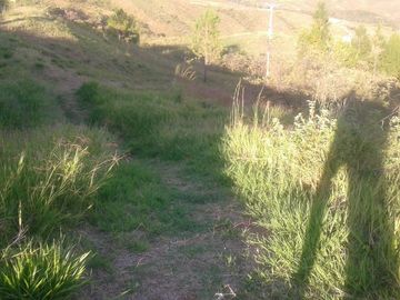 VENDEMOS LOTE EN CONDOMINIO EN MEDIO DAPA