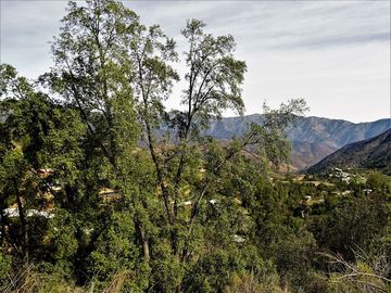 Agrícola en Venta en La Isla - La Vega, Cuesta La Dormida - Olmué
