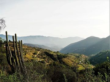 Agrícola en Venta en La Isla - La Vega, Cuesta La Dormida - Olmué