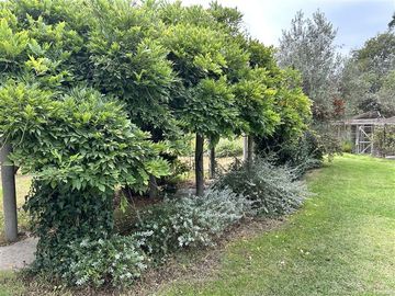 Casa en Venta en Camino Troncal / Los Cardos / Jardín botánico