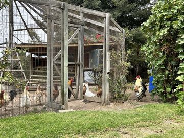 Casa en Venta en Camino Troncal / Los Cardos / Jardín botánico