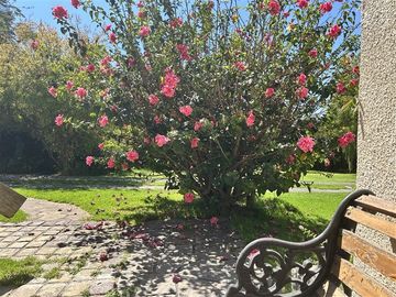 Casa en Venta en Camino Troncal / Los Cardos / Jardín botánico