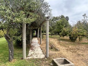 Parcela en Venta en Camino Troncal / Los Cardos / Jardín botánico