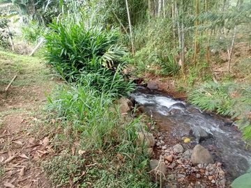 VENDEMOS FINCA DE RECREO TOCOTA SECTOR LOMA ALTA
