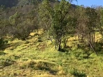 Parcela en Venta en Parcela Altos de Olmué