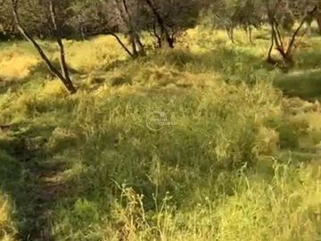Parcela en Venta en Parcela Altos de Olmué
