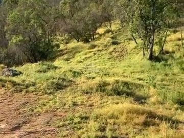 Parcela en Venta en Parcela Altos de Olmué