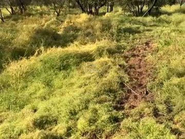 Parcela en Venta en Parcela Altos de Olmué