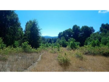 Parcela En Venta En Pinto