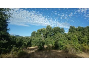 Parcela En Venta En Pinto