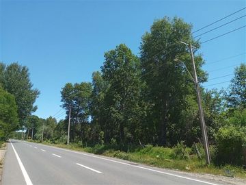 Parcela En Venta En Pinto