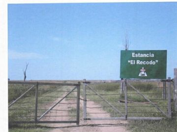 Campo potencial de forestación - Ituzaingó- Corrientes- Argentina