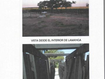 Campo potencial de forestación - Ituzaingó- Corrientes- Argentina