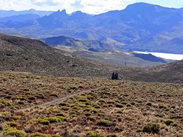 Estancia Paso Chacabuco- Rio Negro
