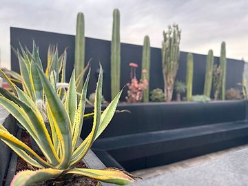 VENTA PH ROMA NORTE 3 RECAMARAS Y ROOF GARDEN