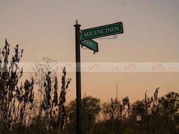 Montemorelos