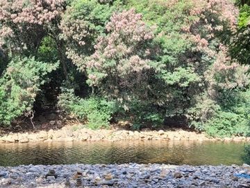 Sitio en Venta en Ruta M-914, El Risco